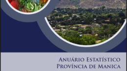 Anuário Estatístico - Província de Manica 2022