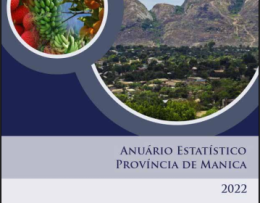 Anuário Estatístico - Província de Manica 2022