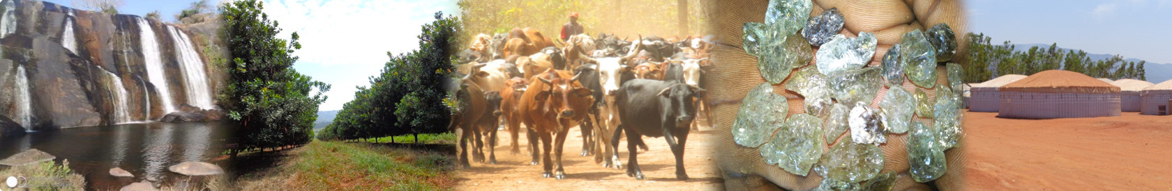 Conselho Municipal da Vila de Catandica