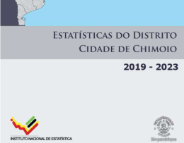 Capa - Estatísticas do Distrito do Distrito de Chimoio