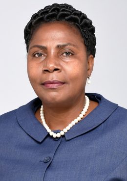 Governadora da Província de Manica